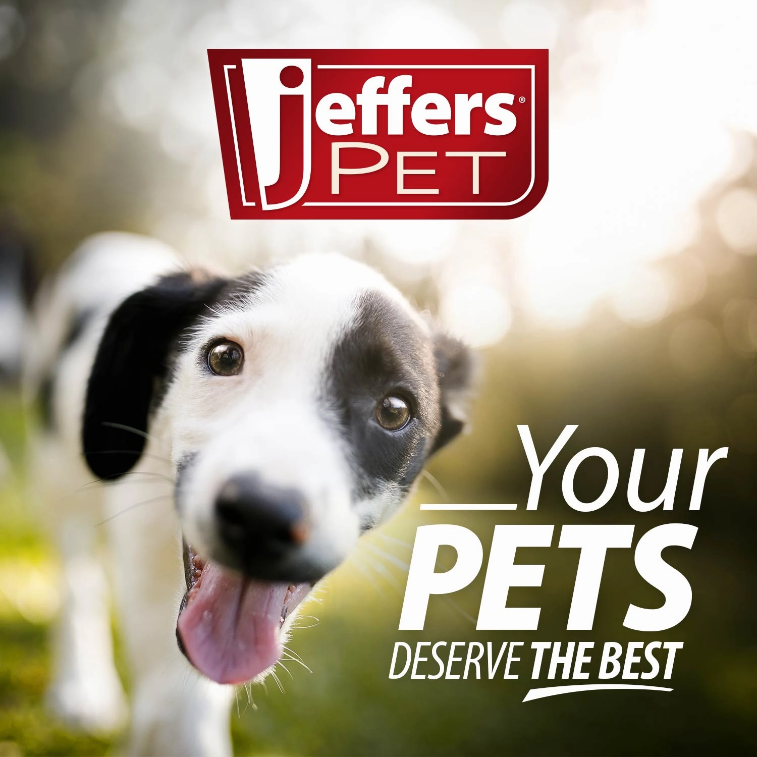 Jeffers Pet Colognes with Coat Conditioner, 16 oz Spray