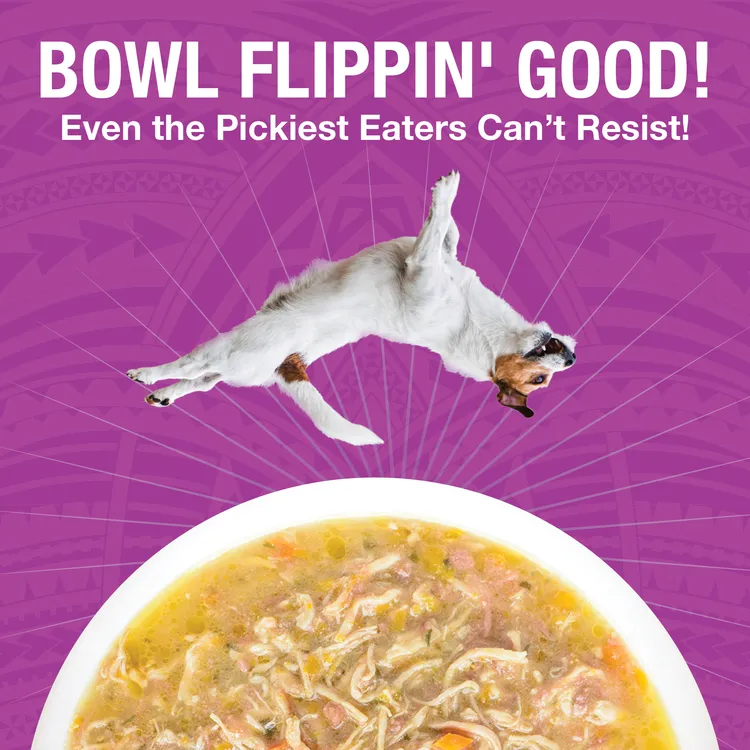 KOHA Pure Shreds Shredded Chicken Breast & Beef Entre Canned Dog Food