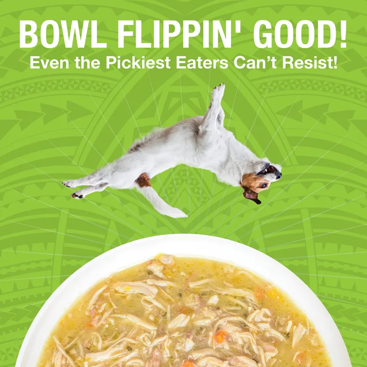 KOHA Pure Shreds Shredded Chicken Breast & Duck Entre Canned Dog Food