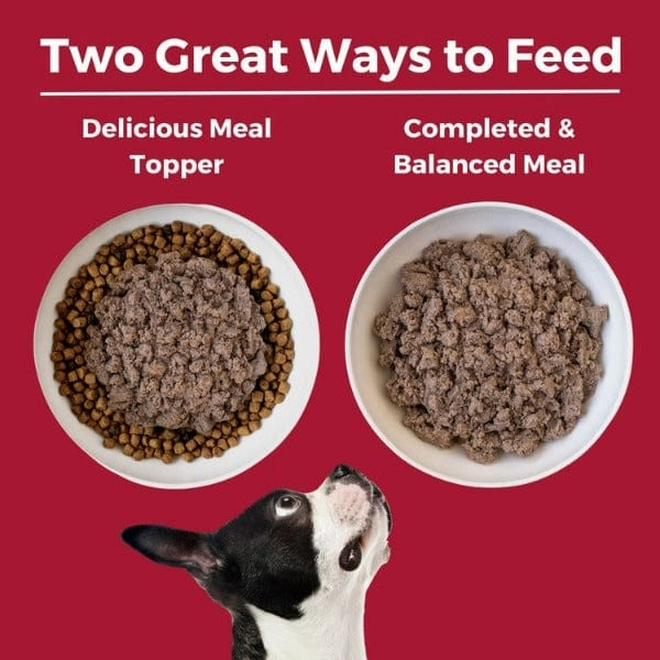 KOHA LID Beef Entre Canned Dog Food