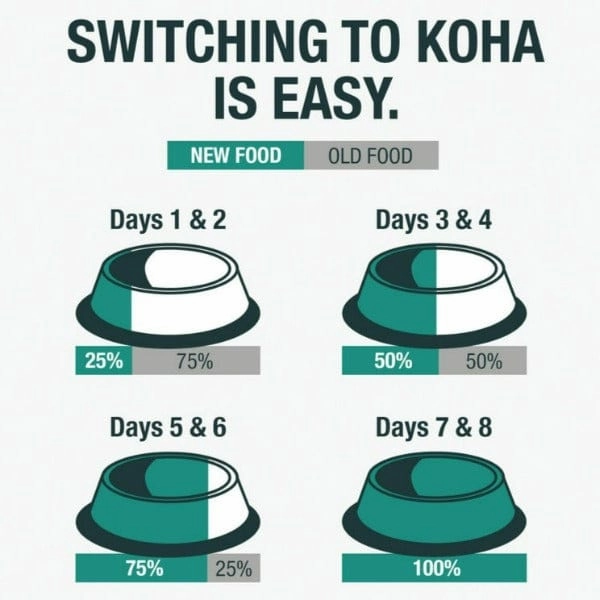 KOHA LID Beef Entre Canned Dog Food
