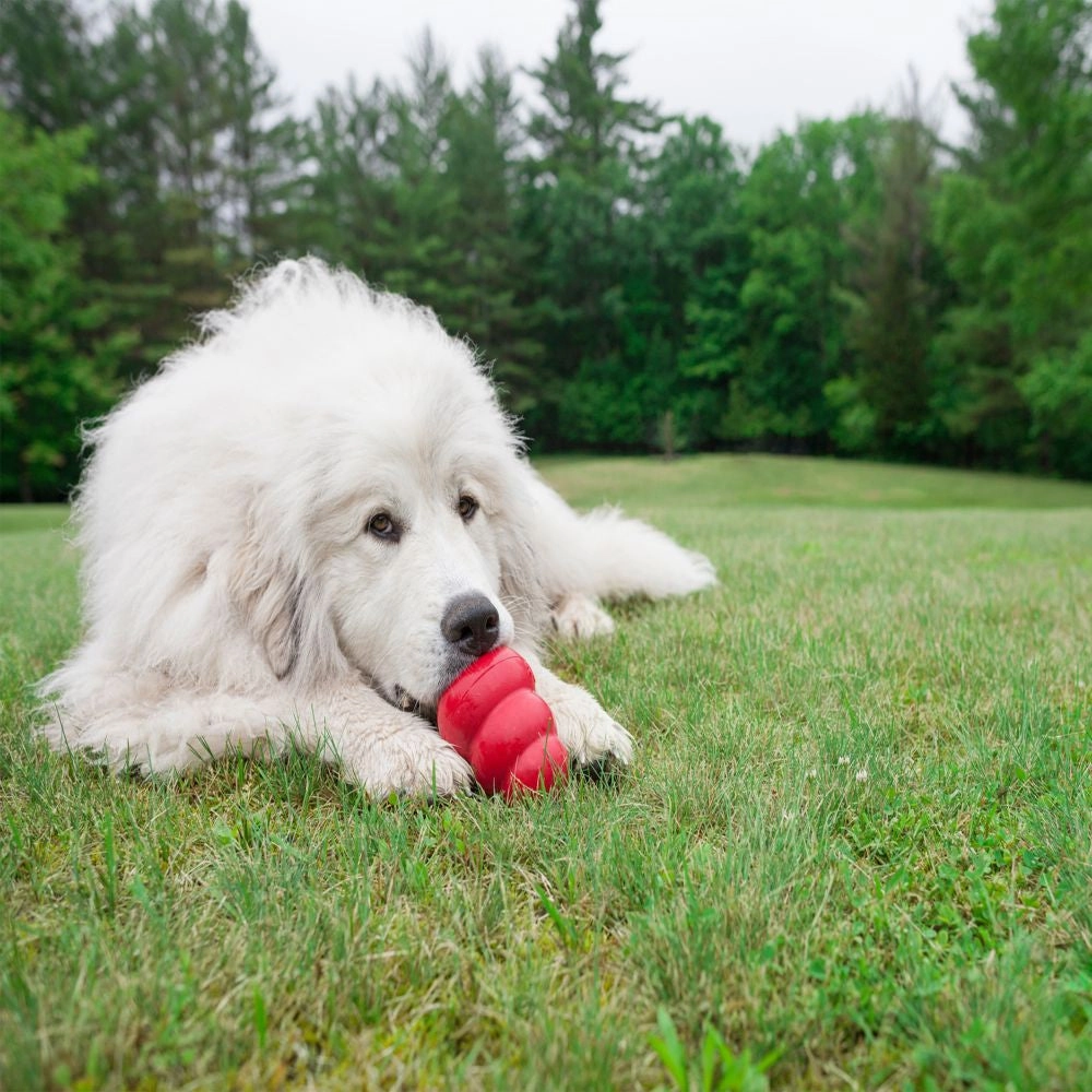 KONG - Classic Dog Toy (X-Large)