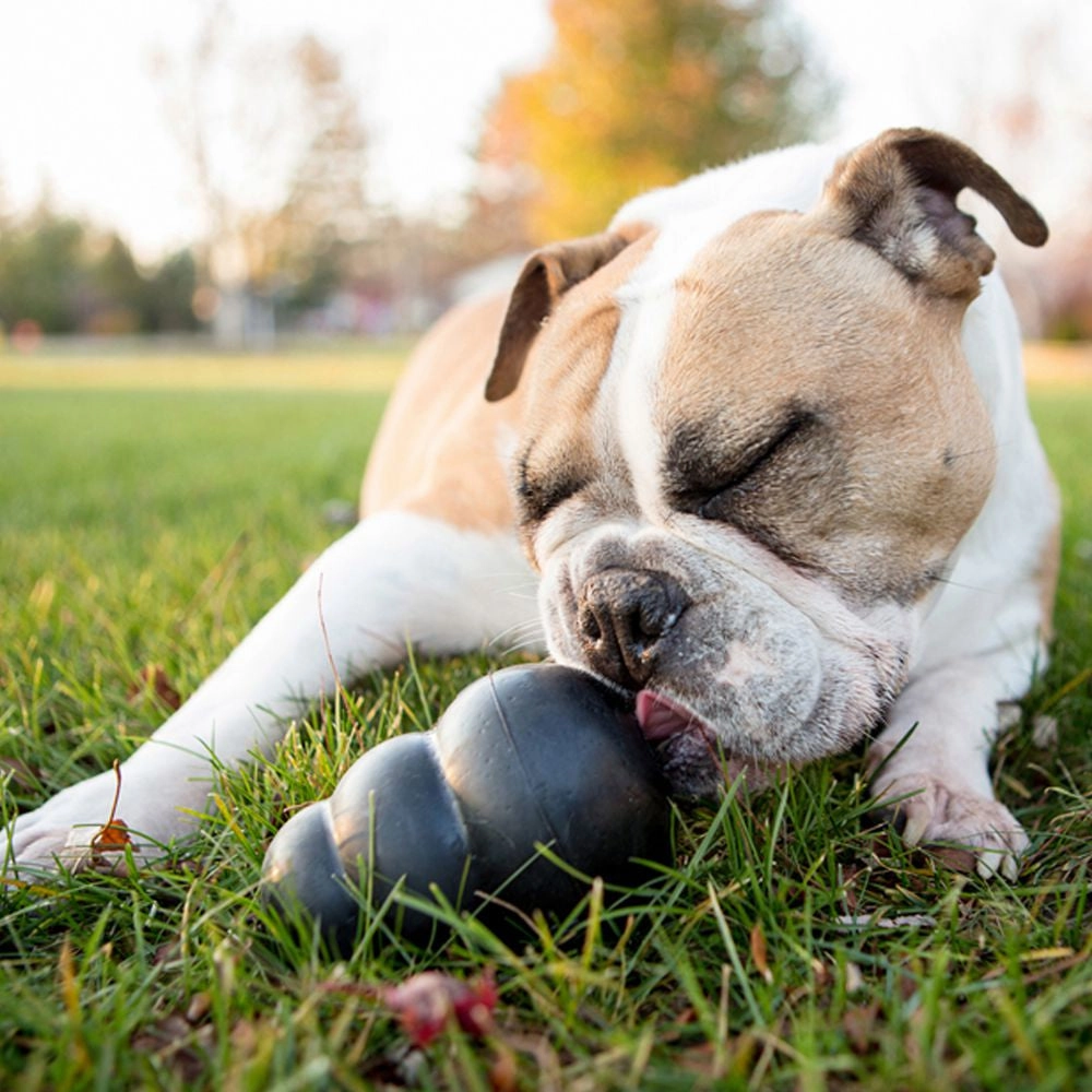KONG - Extreme Dog Toy (Medium)