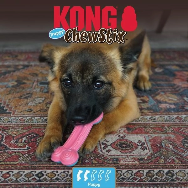 KONG Chewstix Curve Bone Puppy Toy