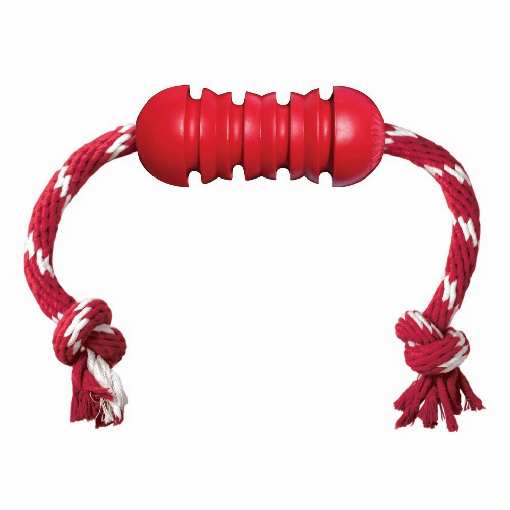Kong Dental with Rope M (DK2)