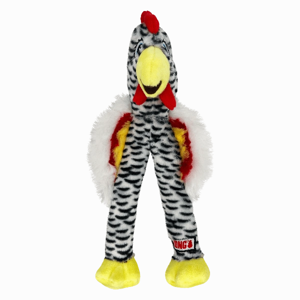 KONG Wishbone Dog Toy
