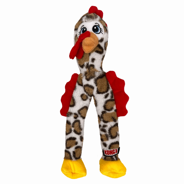 KONG Wishbone Dog Toy