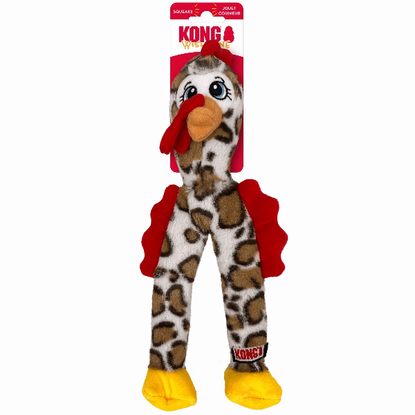 KONG Wishbone Dog Toy