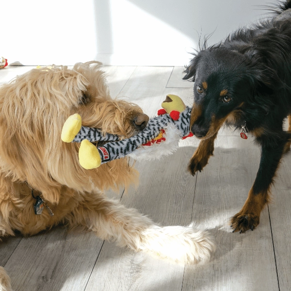 KONG Wishbone Dog Toy