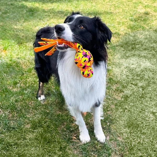 KONG Wubba Ballistic High-Vis Dog Toy
