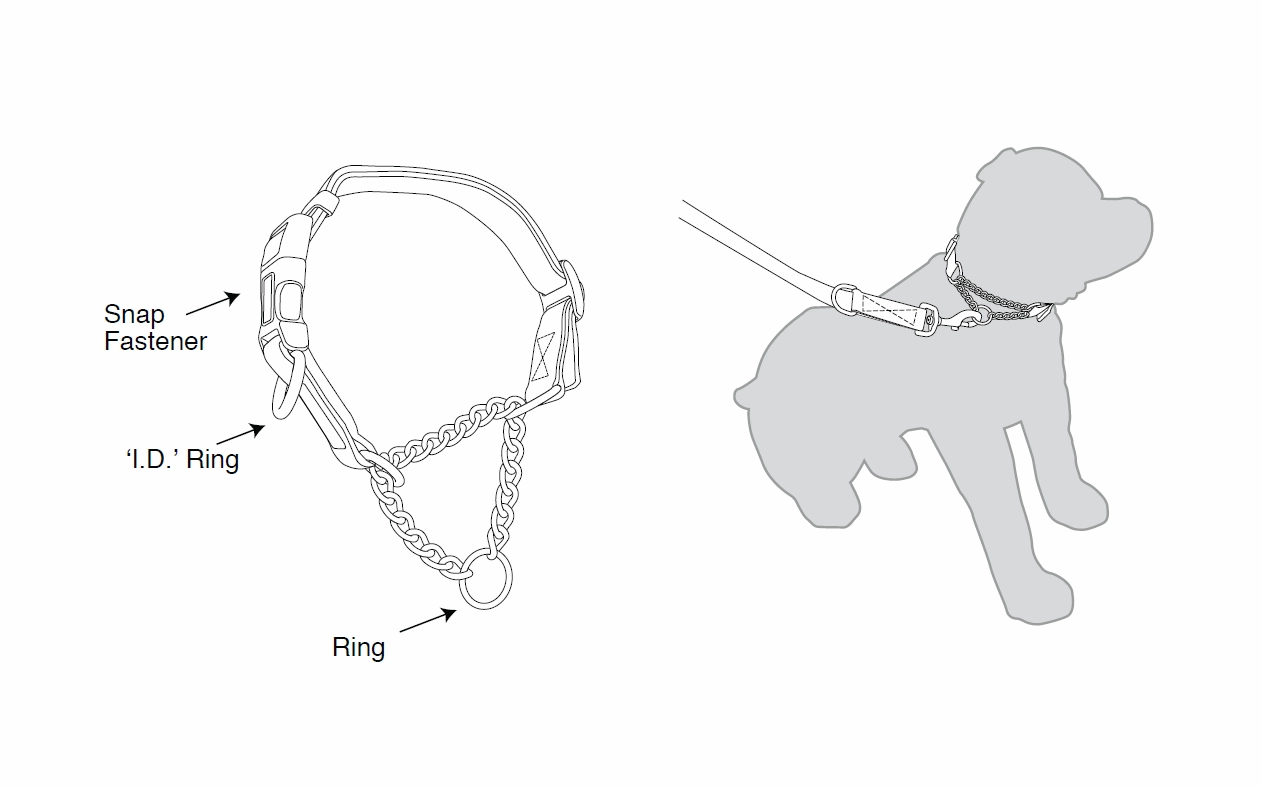 Kumfi - Kombi Martingale Collar (X-Large)