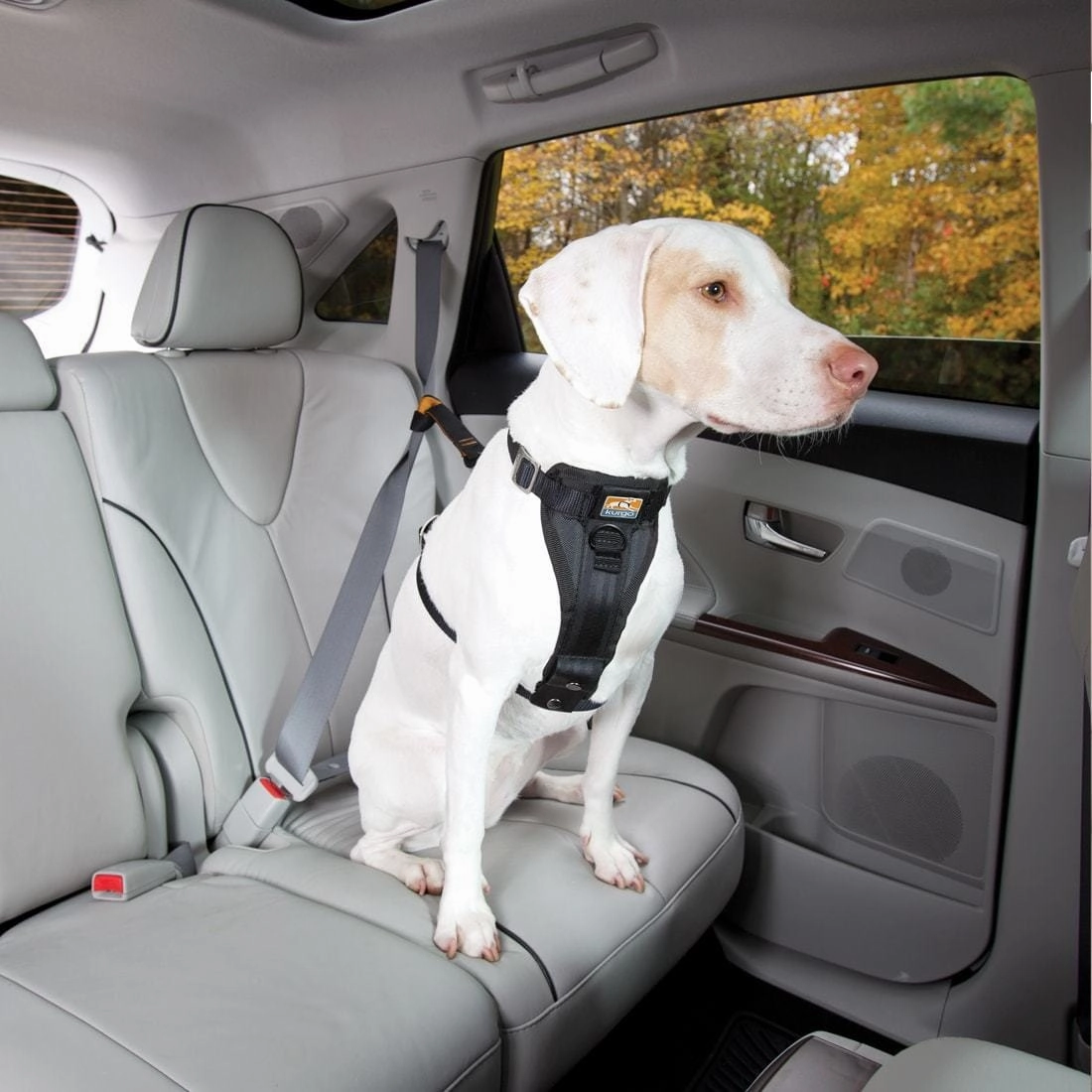 Kurgo Enhanced Strength Tru-Fit Extra Small Dog Car Harness