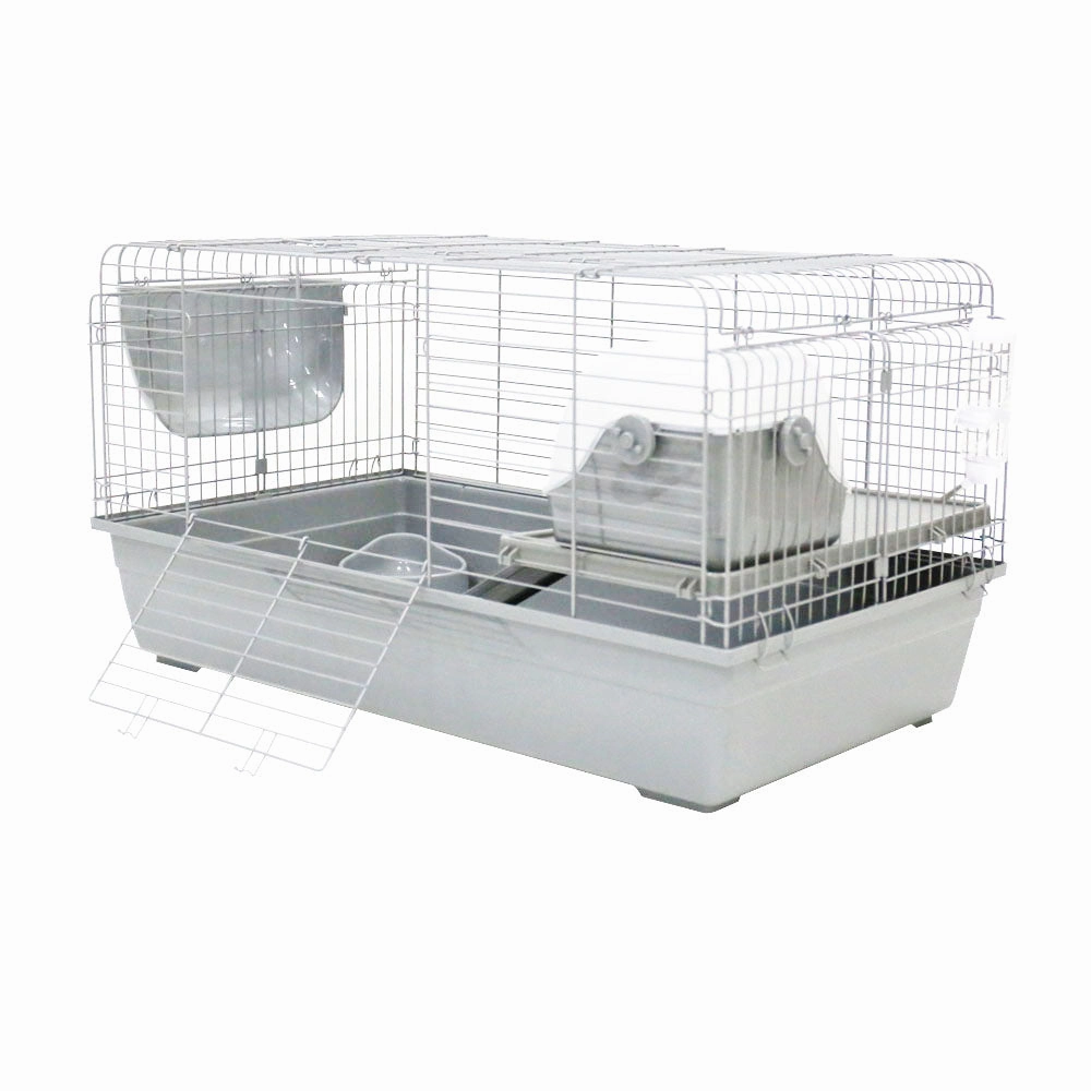 Little Ones - Rabbit Run (Medium)