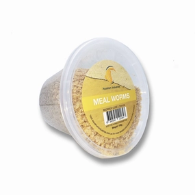 Live Mealworms Regular (100g)