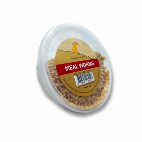 Live Mealworms Regular (10g)