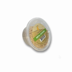 Live Mealworms Regular (50g)