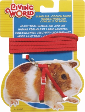 Living World - Guinea Pig Harness & Lead Set (Red)