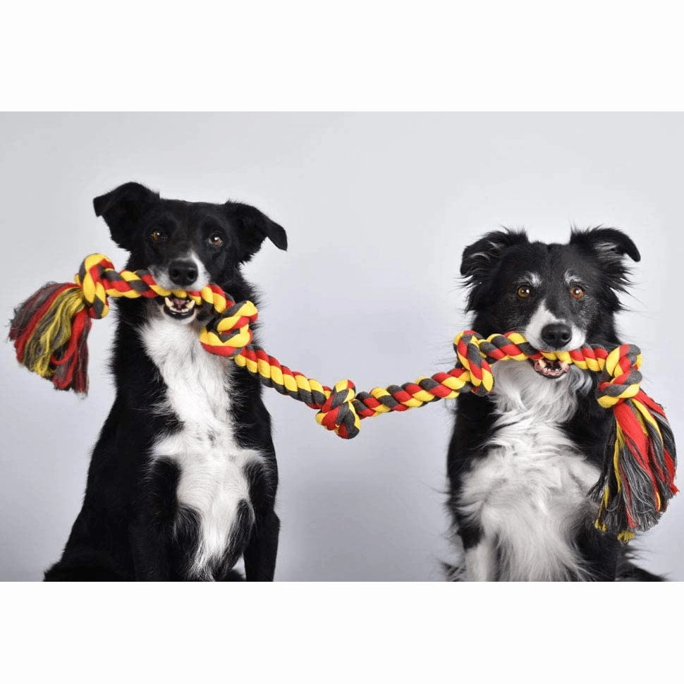 Mammoth Flossy Chews Color Rope Tug Dog Toy