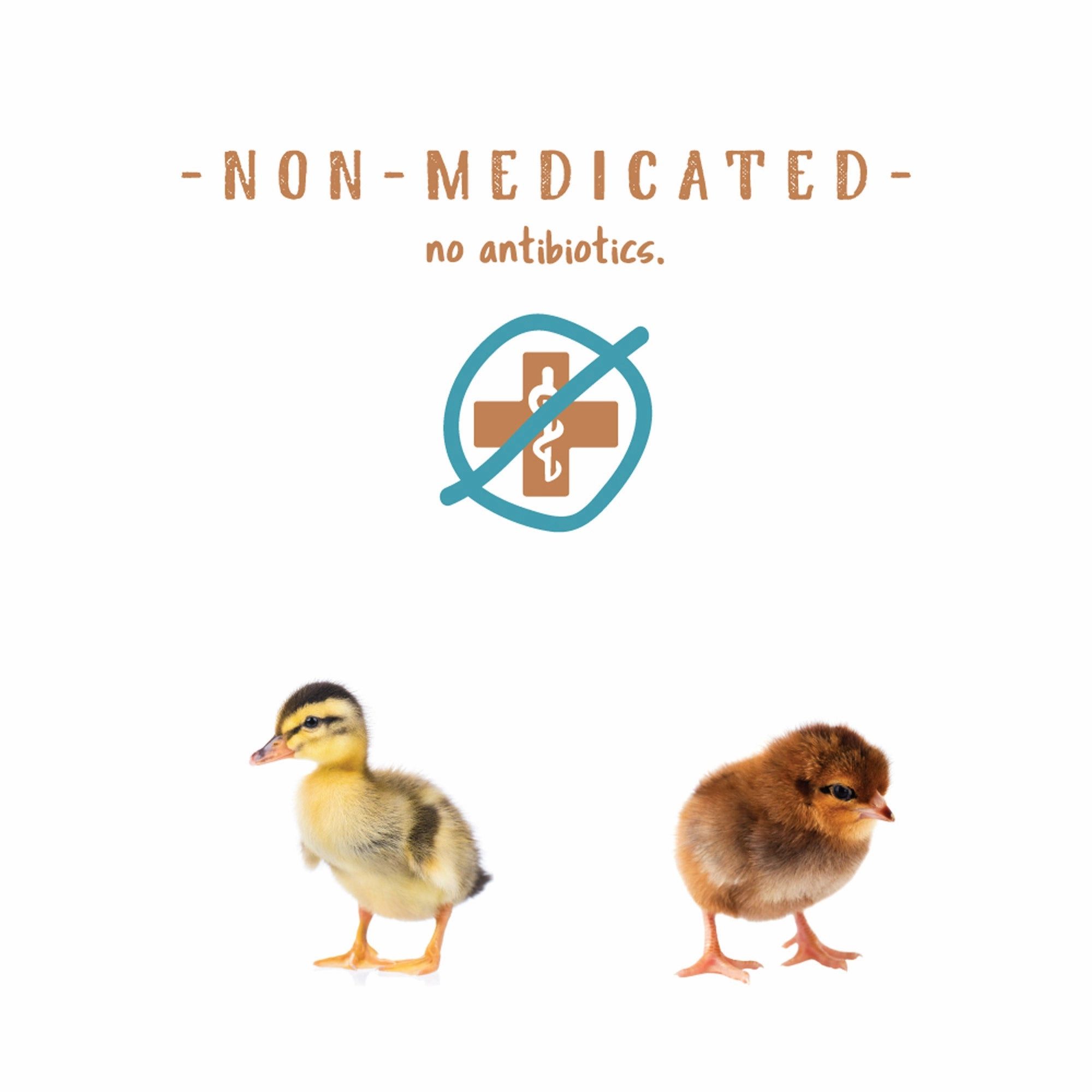 Manna Pro Non Medicated Chick Starter 5lb