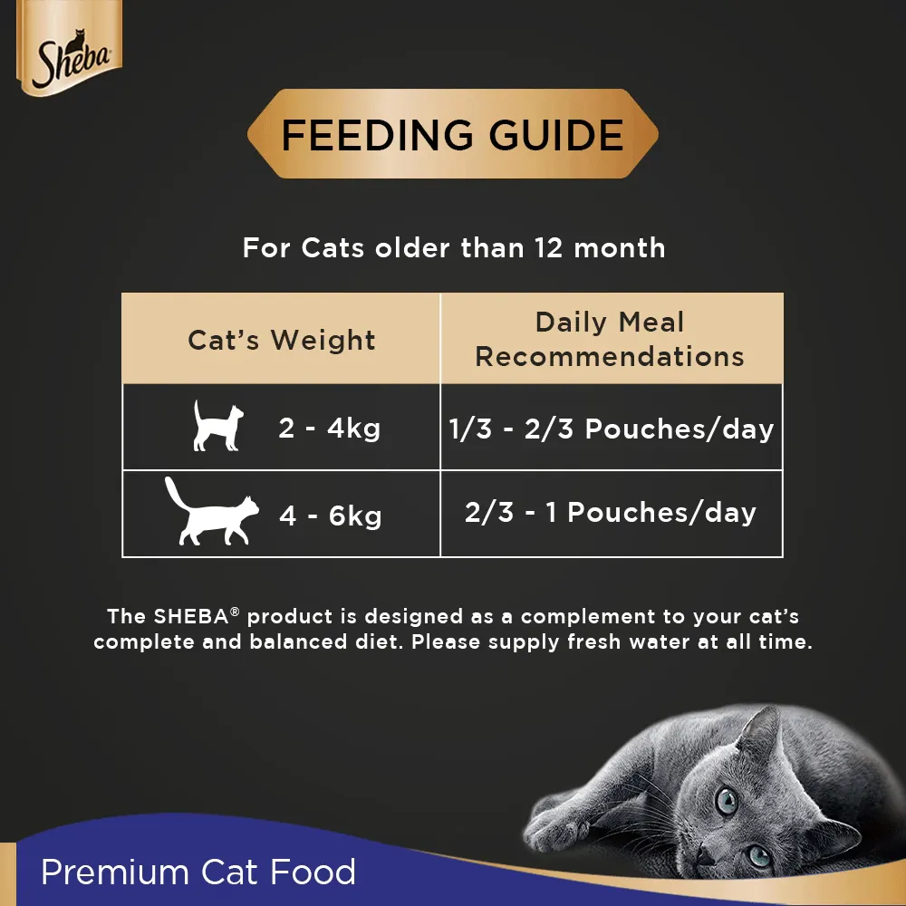 Me O Tuna & Sardine in Jelly Kitten and Sheba Chicken Loaf Rich Premium Adult Fine Cat Wet Food Combo