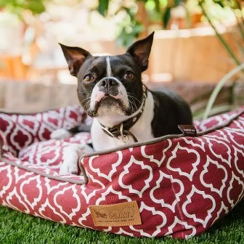 Moroccan Lounge Dog Bed Marsala