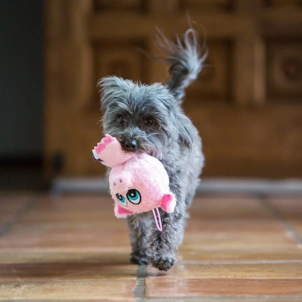 Multipet Knobby Noggins Assorted Dog Toy