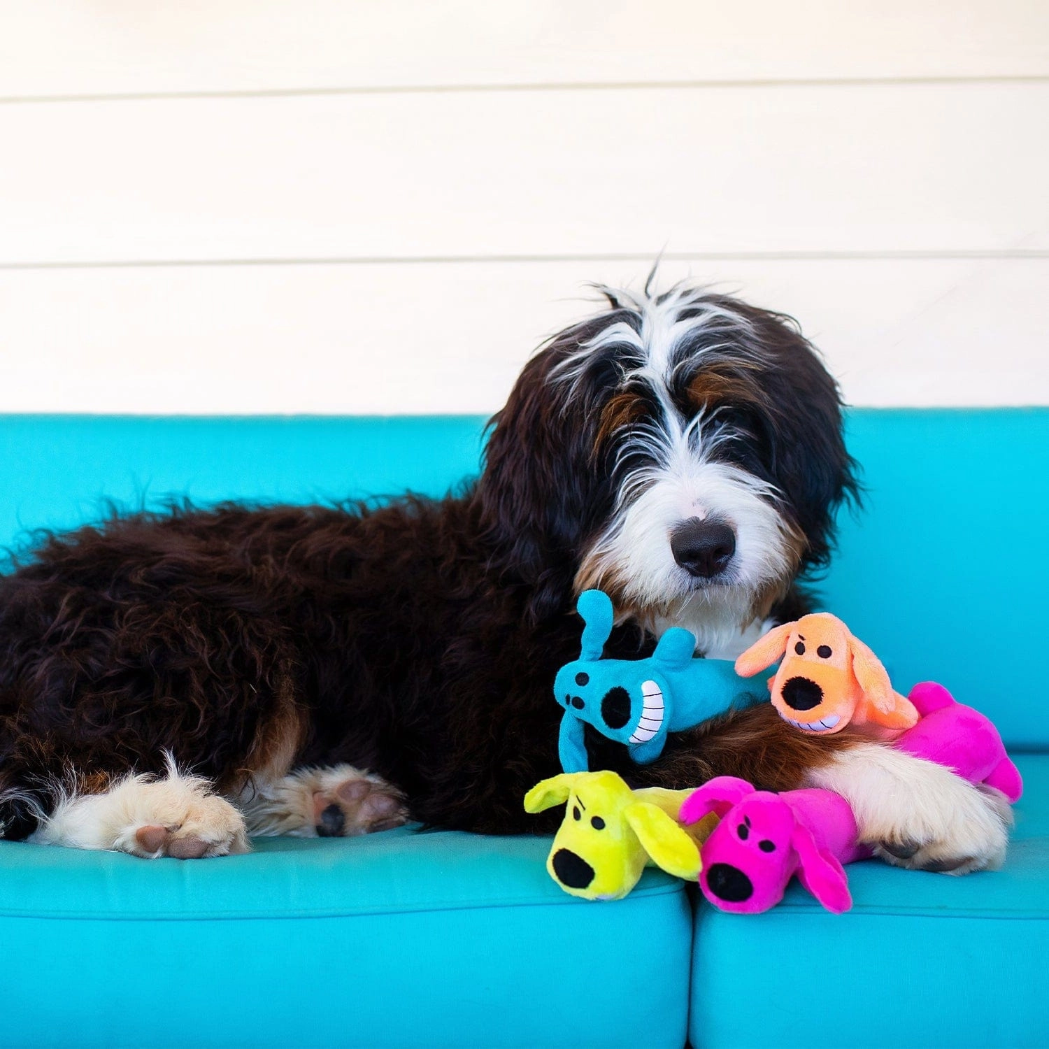 Multipet Loofa Assorted Plush Dog Toy