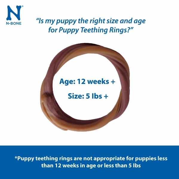 N-Bone Puppy Teething Rings; Salmon Flavour