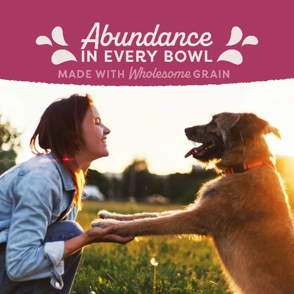Natural Balance Fat Dogs Recipe Dry Dog Food