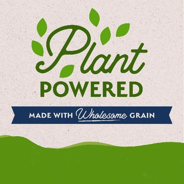 Natural Balance Plant Powered Vegetarian Recipe Canned Dog Formula