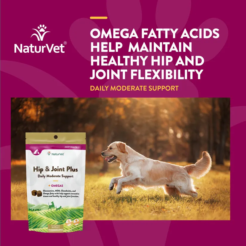 NaturVet Hip & Joint Plus Soft Chews for Dogs