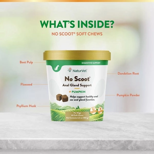 NaturVet No Scoot Plus Pumpkin Soft Chews For Dogs