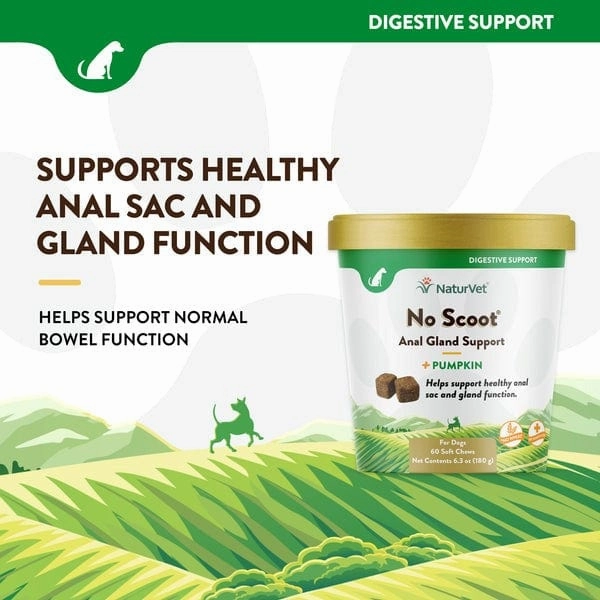 NaturVet No Scoot Plus Pumpkin Soft Chews For Dogs