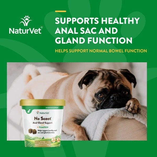 NaturVet No Scoot Plus Pumpkin Soft Chews For Dogs