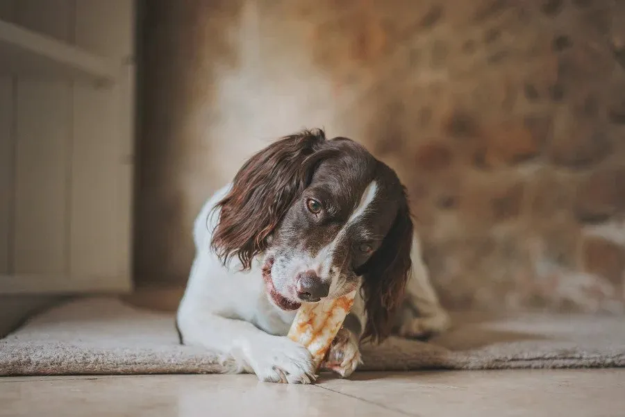 No Hide Peanut Butter Dog Chew