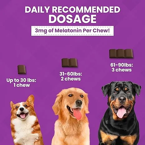 Nootie Progility Max Calming Bar