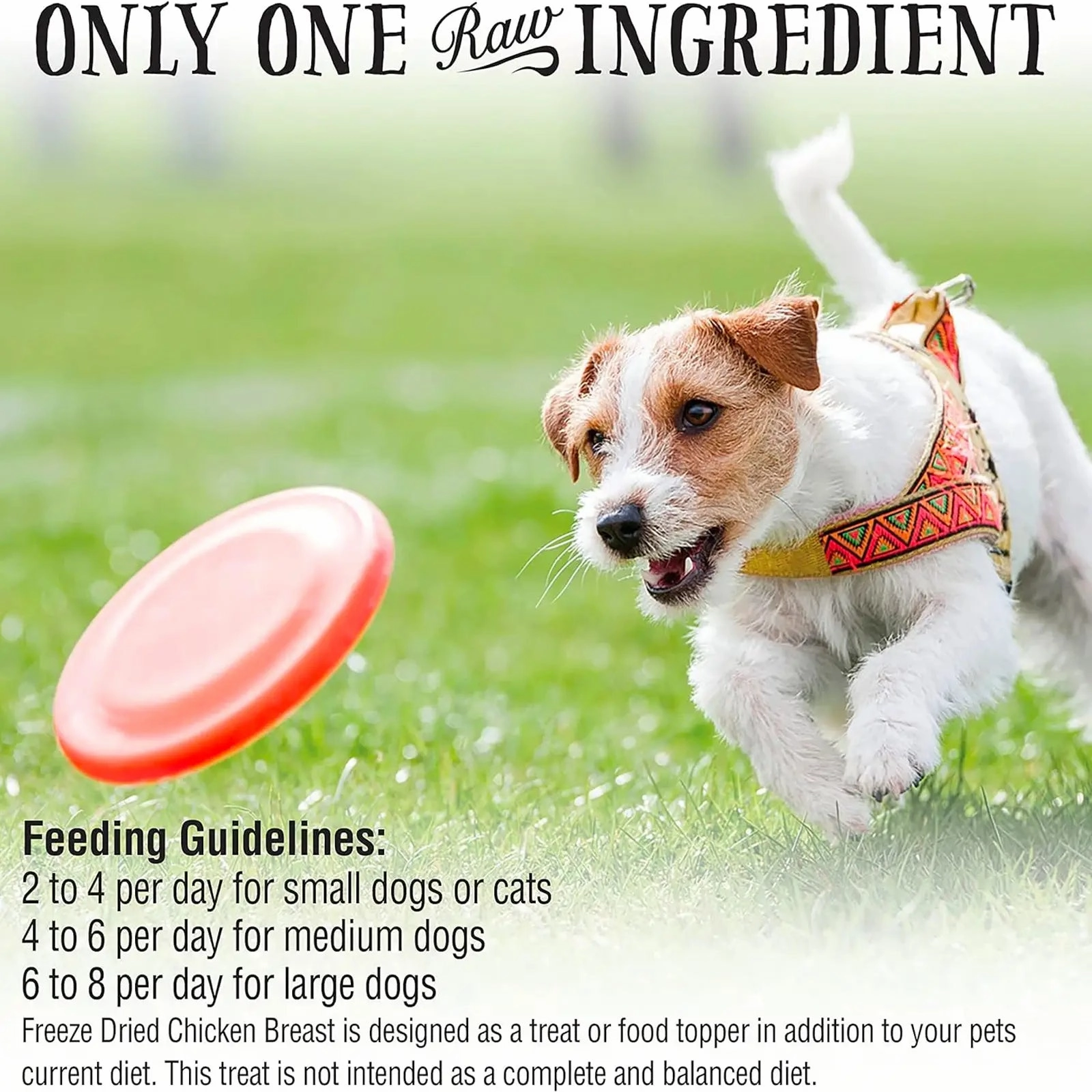 Northwest Naturals Raw Rewards Freeze Dried Treats for Dogs and Cats - Chicken Breast 85g