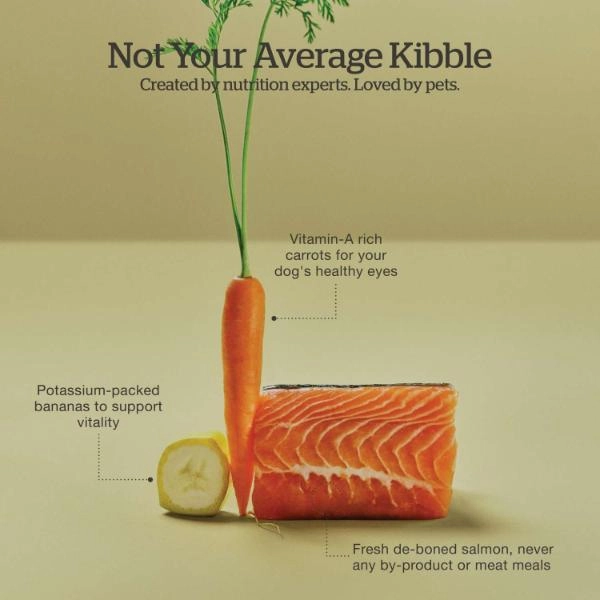 Now Fresh Good Gravy Salmon Recipe Small Breed Adult Dry Dog Food