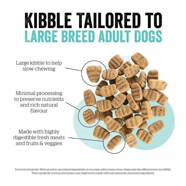 Now Fresh Turkey, Salmon & Duck Recipe Large Breed Adult Dry Dog Food, 25lb