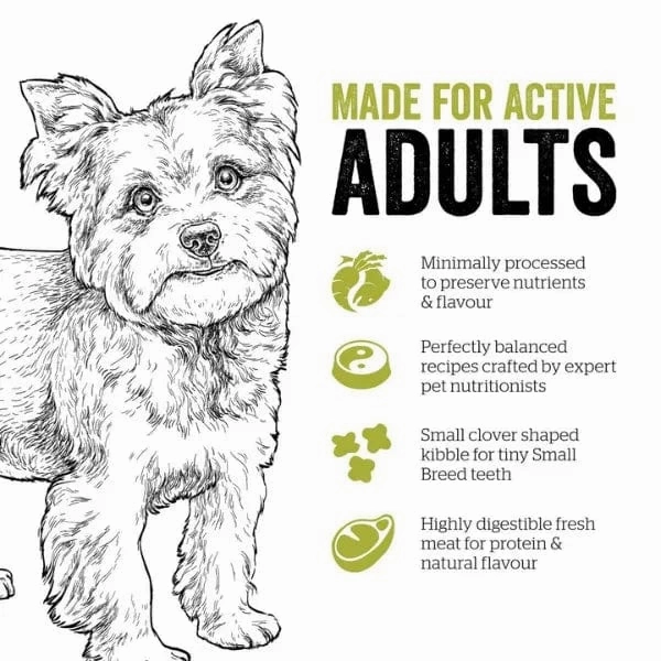 Now Fresh Turkey, Salmon & Duck Recipe Small Breed Adult Dry Dog Food