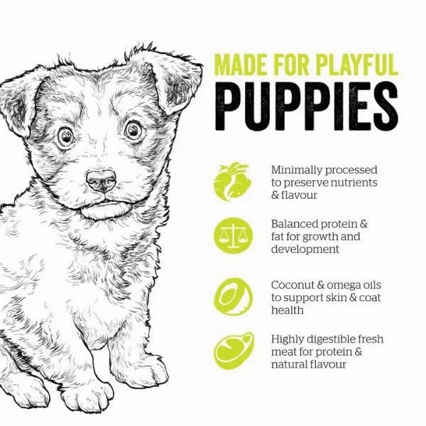 Now Fresh Turkey, Salmon & Duck Recipe Small Breed Puppy Dry Dog Food
