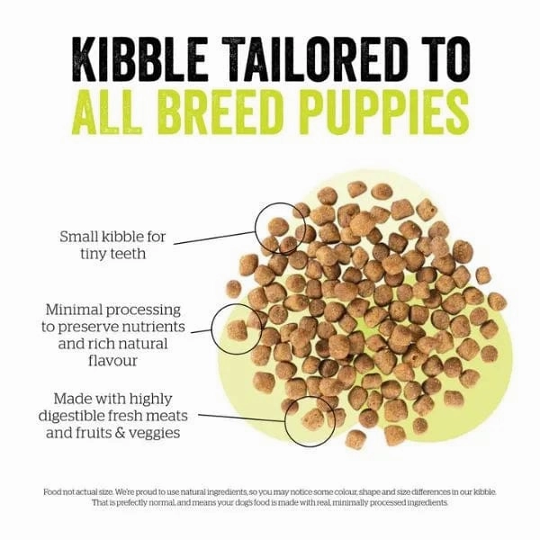 Now Fresh Turkey, Salmon & Duck Recipe Small Breed Puppy Dry Dog Food
