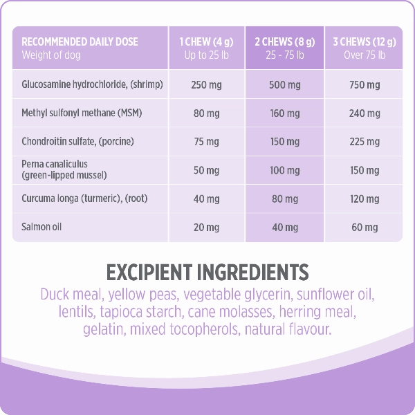 Nutrience Care  Hip & Joint Dog Supplement