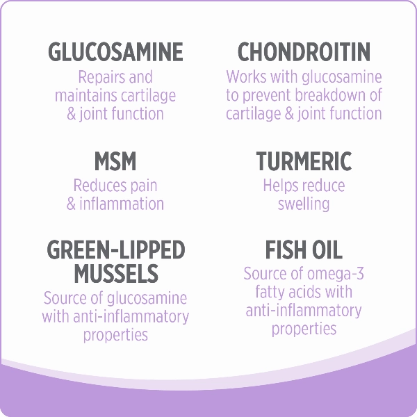 Nutrience Care  Hip & Joint Dog Supplement