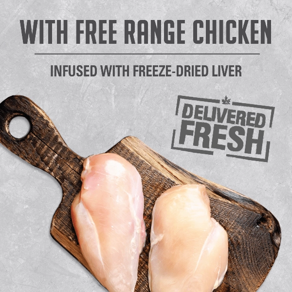 Nutrience Infusion Pate with Free Range Chicken Canned Dog Food