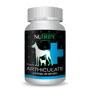 Nutripe Arthiculate 90caps