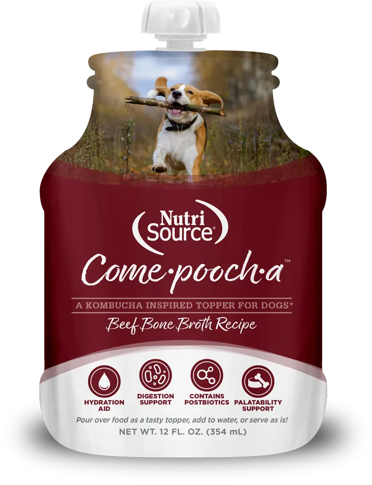 NutriSource Come-Pooch-a Beef Bone Broth for Dogs