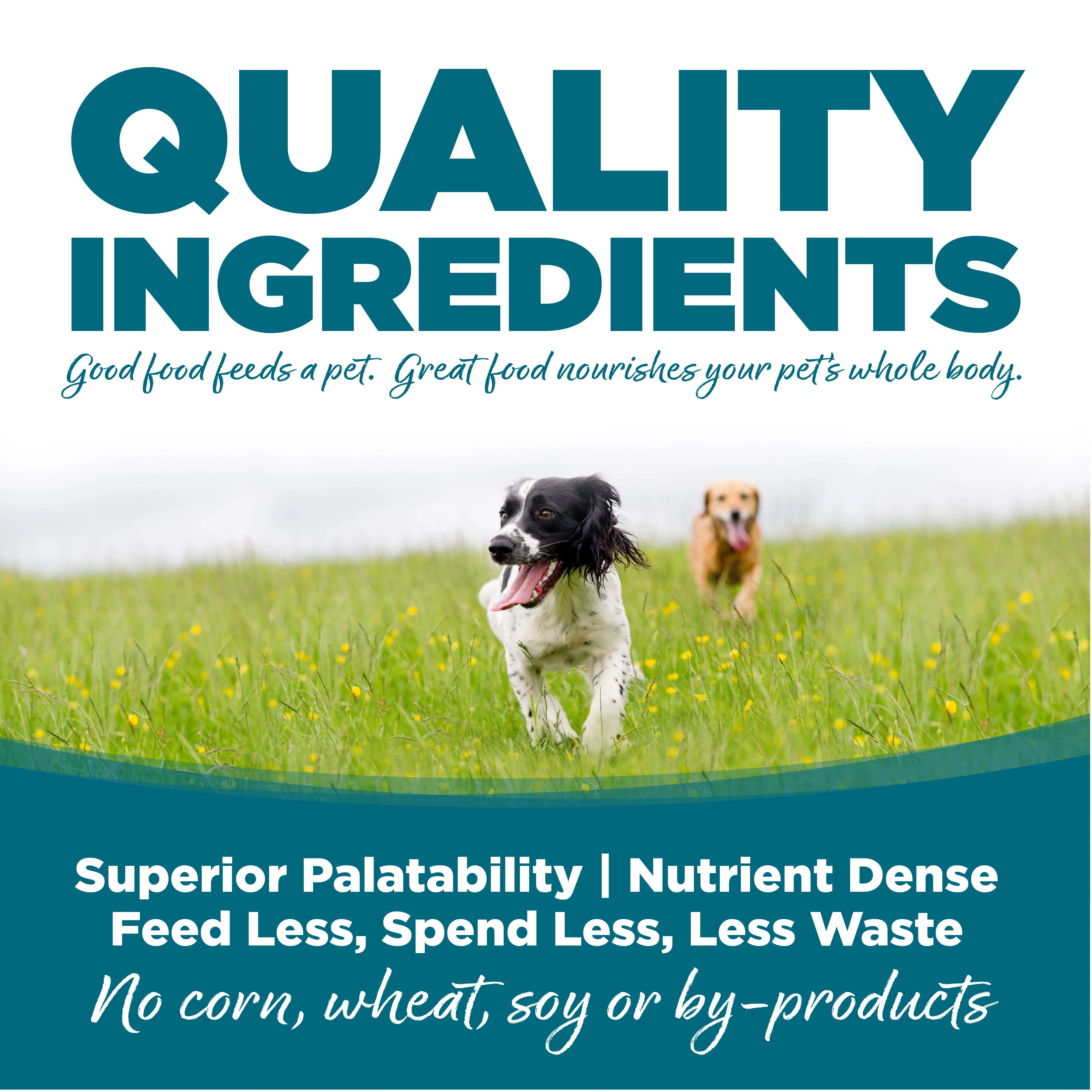 NutriSource Grain Free Chicken Canned Dog Food