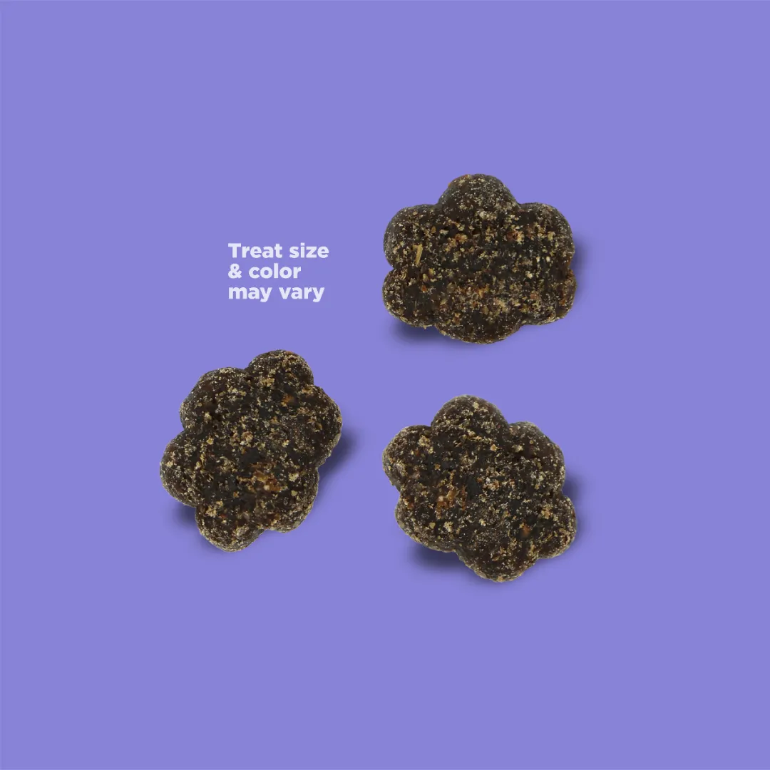 NutriSource Nutty Butter Bites Peanut Butter & Banana Dog Treats