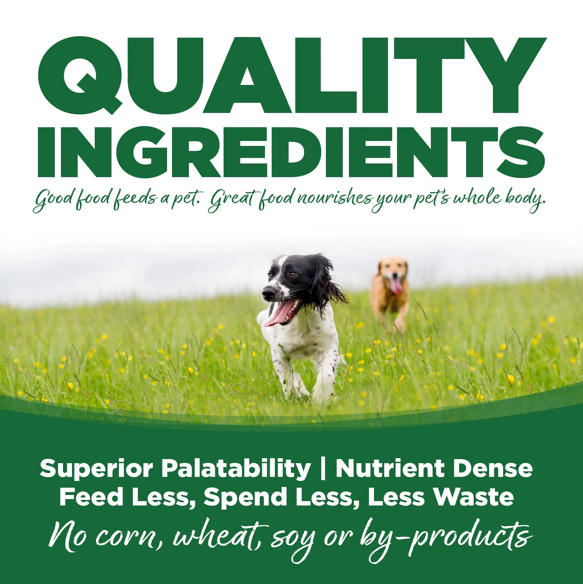 NutriSource Turkey & Rice Canned Dog Food